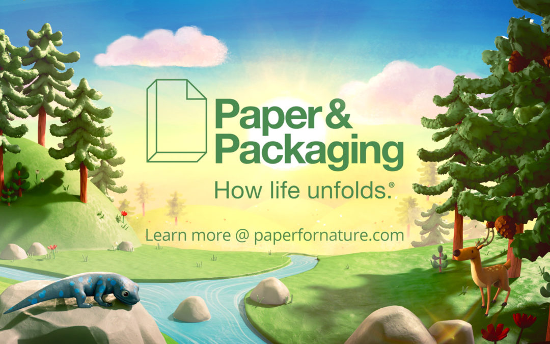 Boxes & Birds (Paper & Packaging)