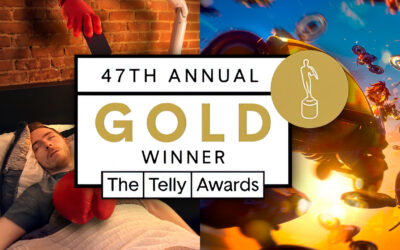 Something’s Awry wins Gold and Silver in the 47th Annual Telly Awards